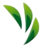 Natural Foods International S. de R.L. de C.V.