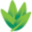 Natures Nurse