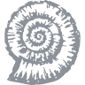 Nautilus centro estetico
