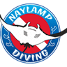 NAYLAMP DIVING