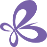 The Japan Foundation