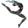 Nebo Gymnastics