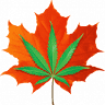 Northeast Kingdom Hemp