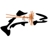 Nelson's Guides & Flies LLC