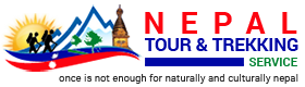 Chitwan Safari Travels and Tours Pvt Ltd