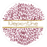 Nepenthe Patisserie & Cafe