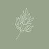 Nest Psychotherapy & Counselling