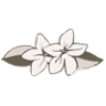 Tuschen-Newcomer Funeral Home