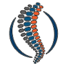 New England Orthopedics/spine
