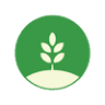 New Life Church