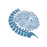 New Neurons Neurosurgical Institute