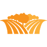 New Orange Hills