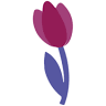 New River Women's Health