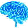 Hearing and Brain Centers of America - Weatherford