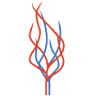 NG Vascular and Vein Center