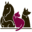 Rolling Meadows Pet Cemetery
