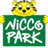 Nicco Super Bowl