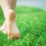 Nice & Precise Lawn Care