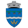 Primăria Niculești