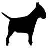 Nido Pet