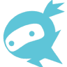 Les Ninjas du web
