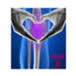 Northeast Knee and Joint Institute
