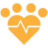 Noah Animal Hospital