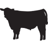 Nold Animal Supply