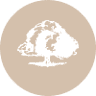 NoosaCare Inc. Carramar