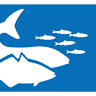 The North Sea Oceanarium