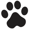 North Churton Animal Hospital