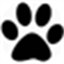 Northwest Animal Hospital