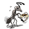 Northwest Pest Control Inc - The Dalles