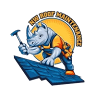 Northwest Roof Maintenance Inc.