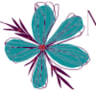 Norton Florist