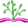 مرکز نوین بینش