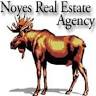 Noyes Real Estate