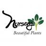 Nursery Beautiful Plants