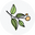 Nutmeg Bakery & Cafe