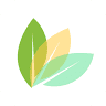 Nutrify Foods.com