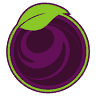 Açaí Nutrilatino