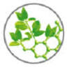 Nutriphys Belgium