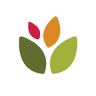 Nutters Everyday Naturals