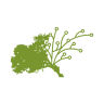 信濃町ノマドワークセンター（長野県信濃町）Nature Service Outdoor Points