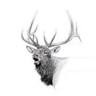 Northern Wyoming Surgical Center: Schneider John MD