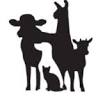 Northwest Veterinary Hospital
