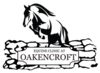 Equine Clinic At Oakencroft