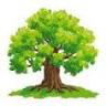 Oakridge Pediatrics