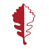 Oak Realty LLP