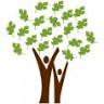 Oaks Integrated Care